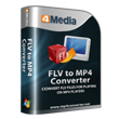 FLV to MP4 Converter